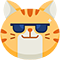 Cute Cat Questions and Answers